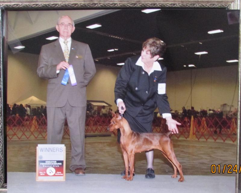 Jolene  daughter of Ch Dark Angels Aden Red Engery and Windamir Fancy Free Encee