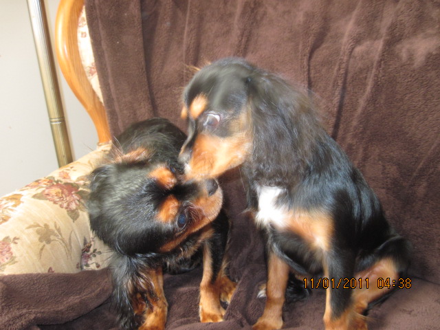 Mother n daughter